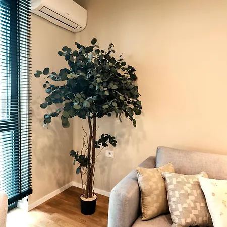 Paltim One Apartment Timisoara