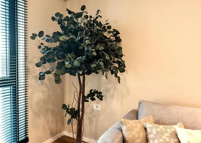 Nook Apartmán Temešvár